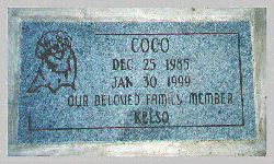 CoCo